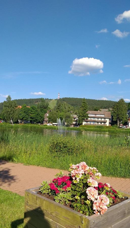 Aussicht Apartment Гослар Екстериор снимка